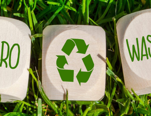 Why the NHS must focus on reducing waste through utilising the Circular Economy?